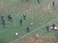 Ibrahimovic a kupval